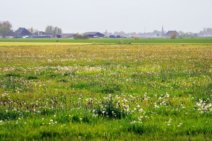 € 500 miljoen extra voor uitvoering ANLb?