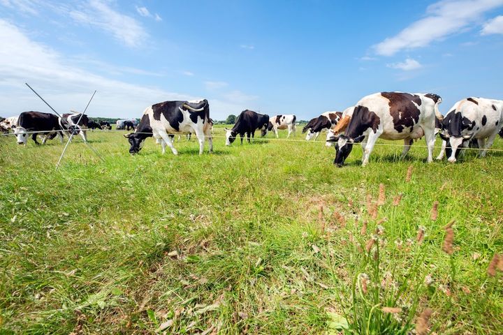 De KBA (kosten- en batenanalyse) studiegroepen zijn volop actief